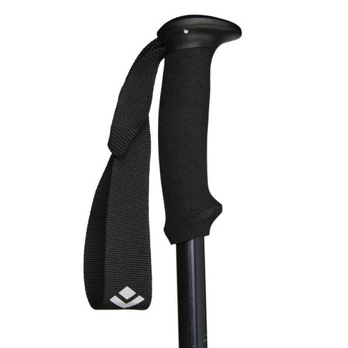 Black Diamond Explorer 2 Trekking Poles, Ink Blue