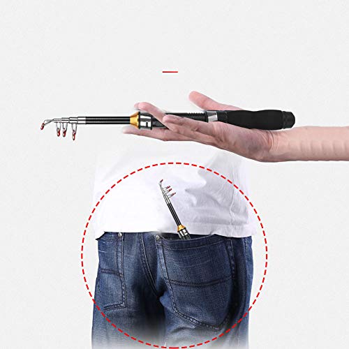 Fishing Rod, Universal Mini Small Sea Pole Portable Short Pole Ice Fishing Rod Mini Pocket Sea Fishing Tools for Ice Fly F...
