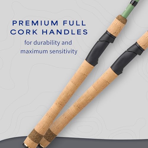 Shakespeare Wild Spinning Fishing Rod