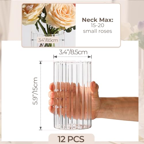 ComSaf Glass Cylinder Vases Pack of 12, Clear Ribbed Bud Vases for Centerpieces Weeding Decoration, 6 inch Tall Clear Flow...