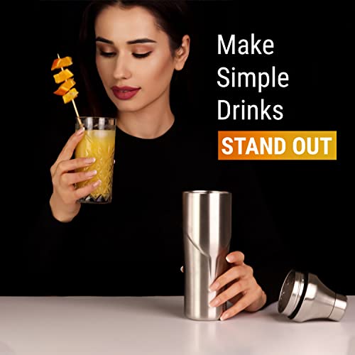 Lexenic 24oz Cocktail Shaker - Insulated Double Wall Keep Drink Chilled - No Stuck Twist Lid,Leakproof and Built-in Strain...