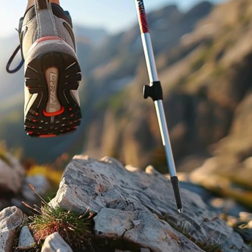 10 Pieces Trekking Pole Tips, Tungsten Steel Rod End Tip, Walking Sticks Accessories, Rubber Feet for Hiking Pole - Climbi...