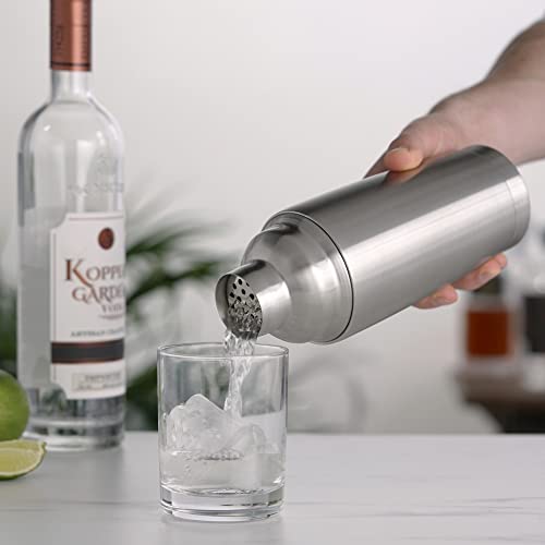 True Vacuum Insulated Cocktail Shaker for Cold Brew Cocktails, Stainless Steel Martini Shaker with Strainer, Home Bar Tool...