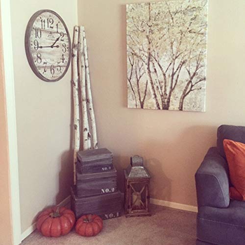 Wilson Decorative Birch Poles 8ft (3 Poles 1 1/2"-2 1/2" Dia.)