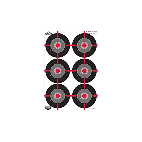 Birchwood Casey Non-Adhesive Dirty Bird 12"x18" Splattering Targets Practice Shooting for Indoor and Outdoor Use