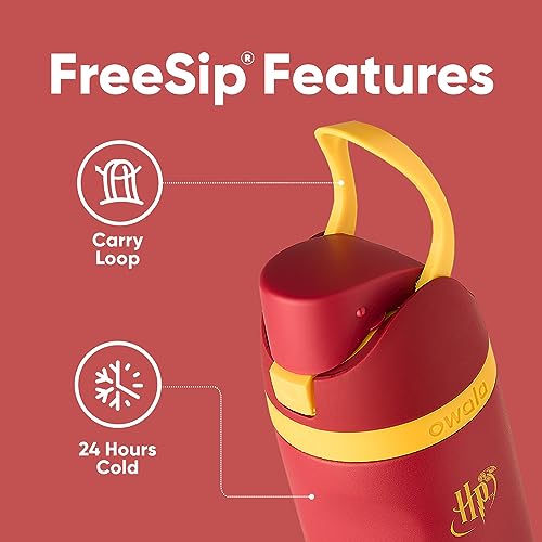 Owala Harry Potter FreeSip Insulated Stainless Steel Water Bottle with Straw, BPA-Free Sports Water Bottle, Great for Trav...