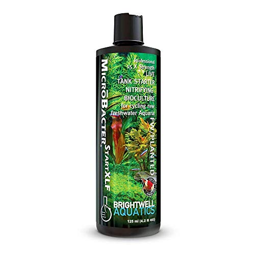 Brightwell Aquatics MicroBacter Start XLF - Concentrated Freshwater Nitrifying Bacteria - Quick Start Fish Tank Starter, L...