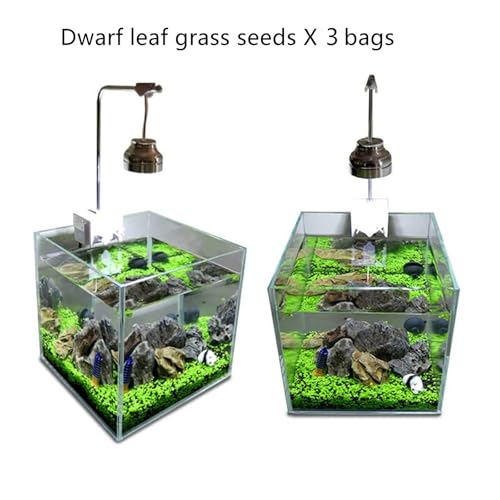 MISUHALOU Aquarium G-r-a-s-s P-l-a-n-t - 3 Pack | Easy-Growing Water P-l-a-n-t for Fish Tank Aquarium
