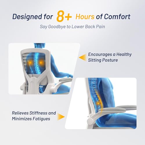 QLTPLUS Office Chair for Long Hours & Lower Back Pain Relief – 4" Molded Foam Cushion, Padded Lumbar Support, and Padded F...