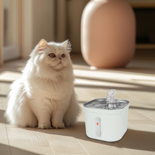 ANNAINUTC Cat Water Fountain, 2L/68oz Automatic Stainless Steel Pet Fountain Dog Water Dispenser with Replacement Filters...