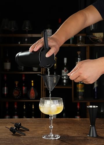 Cocktail Shaker Set - 13-Piece Bar Accessories Kit w/Weighted Boston Shaker, Strainer, Jigger, Muddler,Mixing Spoon and Mo...