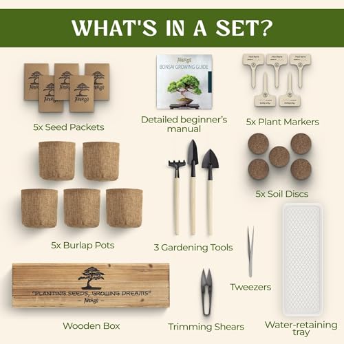 DIY Bonsai Tree Kit for Beginners – 5X Unique Japanese Bonzai Trees | Complete Indoor Bonsai Starter Kit for Growing Bonsa...