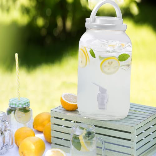 Havawish 2 Pcs 1 Gallon Plastic Beverage Dispenser with Spigot Clear Summer Kitchen Fridge Drink Dispenser for Parties Lem...