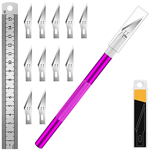 DIYSELF 1 Pcs Craft Knife Hobby Knife with 11 Pcs Stainless Steel Blade Kit, 1pcs Steel 15CM Ruler for Art, Scrapbooking, ...