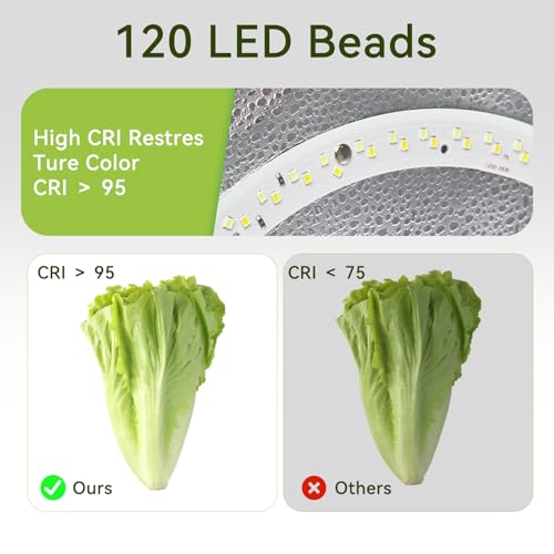 Photo Light Box Photography - 16"x16" Photo Studio Lightbox with 120 LED Lights & 6 Backdrops for Jewelry and Small Items ...