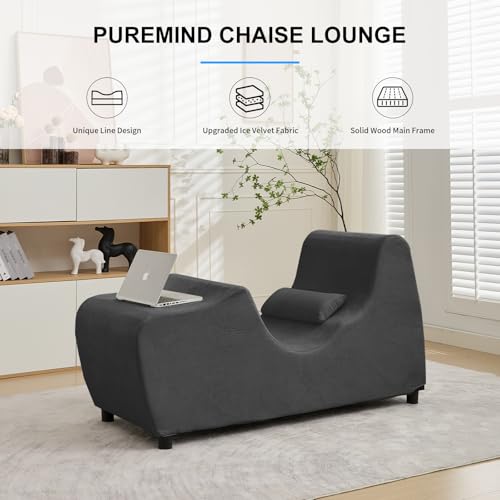 PUREMIND Chaise Lounge Chair Indoor, Ergonomic Zero Gravity Recliner with Pillow for Relaxing, Working, Reading in Living ...