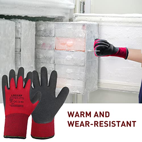 LOCCEF 2 Pairs Winter Work Gloves for Men and Women, Freezer Gloves for Work Below Zero, Thermal Insulated, Super Grip