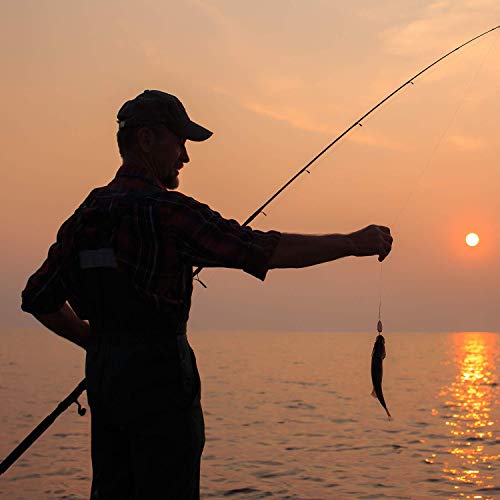 Cadence Fishing Combos with 10+1 Ideal Spinning Reel Bundle + 2PCS 6.6ft Essence Moderate Light Spinning Rod Perfect for P...