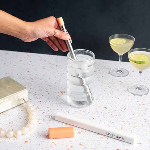 LifeStraw Sip ? Reusable Stainless Steel Water Filter Drinking Straw