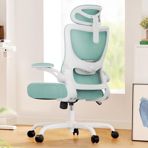 Marsail Ergonomic Office Chair: Office Desk Chair with High Back Mesh and Adjustable Lumbar Support Rolling Work Swivel Ta...