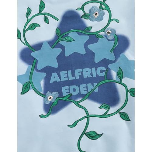 Aelfric Eden Floral Eden Star Pullover Hoodie Embroidery Graphic Hoodies Y2K Oversized Hooded Sweatshirt