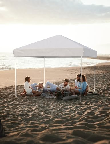 VerisShade 10x10 Pop Up Canopy Tent Outdoor Canopy with 3 Removable Sidewalls Heavy Duty Commercial Instant Tent Shelter W...
