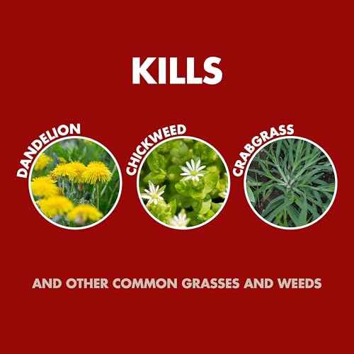 Spectracide Weed and Grass Killer Concentrate, 32 Ounces, With Accumeasure System