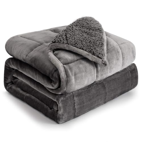 Cottonblue Weighted Blanket 15 lbs Queen Size 60x80 inches, Flannel Shaggy Sherpa Weighted Blanket for Adults Comfortable ...