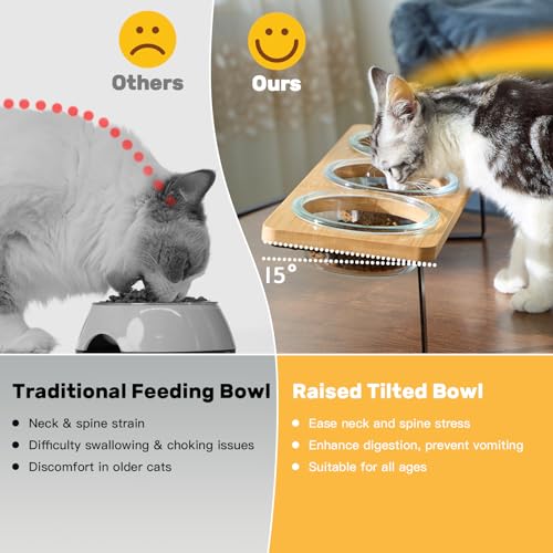 Lawfery Elevated Cat Bowls, 15° Tilted Cat Food Bowl, Includes 3 Glass Bowls, Bamboo Board, and Metal Stand for Cats and P...
