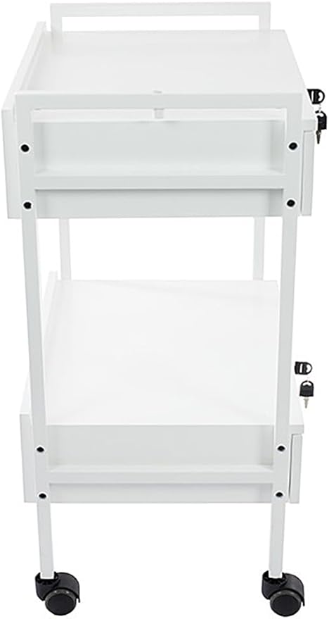SKINACT Pro Medical Dental Mobile Utility Cabinet & Cart with Steel Frame and Two Drawer