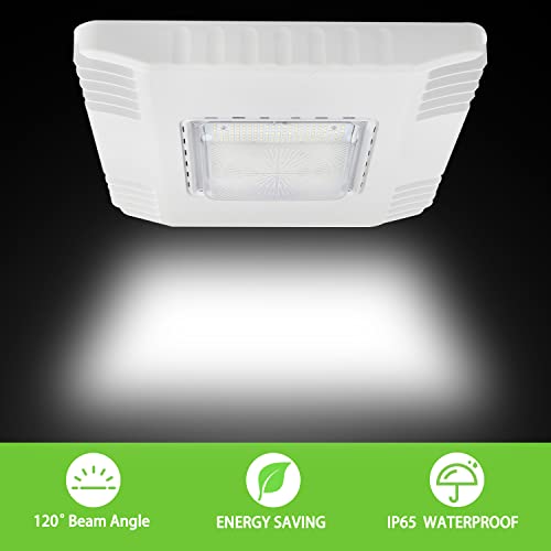 LED Canopy Gas Station Light, 150W 21000LM Surface Mount LED Carport Ceiling Light 5700K (600W HID/HPS Equivalent), 100-27...