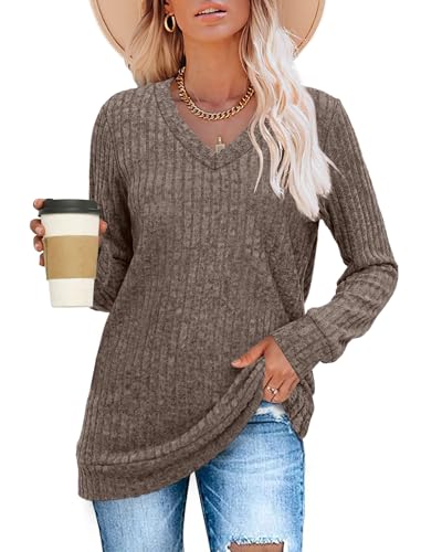 Sampeel V Neck Long Sleeve Shirts for Women Casual Fall Tops Lightweight Tunic Sweaters Fashion Clothes Loose Fit 2025