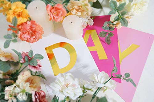 Roseo Pink Happy Birthday Banner Signs Golden Sparkle Funny Birthday Party Supplies for Girls Party Decorations Nursery De...