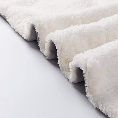 NANPIPER Sherpa Blanket Twin Thick Warm Blankets for Winter Bed Super Soft Fuzzy Flannel Fleece/Wool Like Reversible Velve...