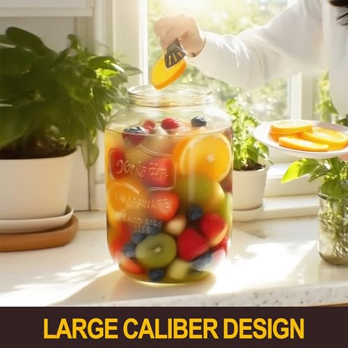 Glass Drink Dispensers for Parties, Beverage Dispenser with Stand, Ice Cylinder and Stainless Steel Spigot 100% Leakproof,...