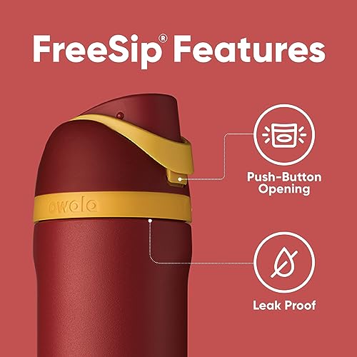 Owala Harry Potter FreeSip Insulated Stainless Steel Water Bottle with Straw, BPA-Free Sports Water Bottle, Great for Trav...