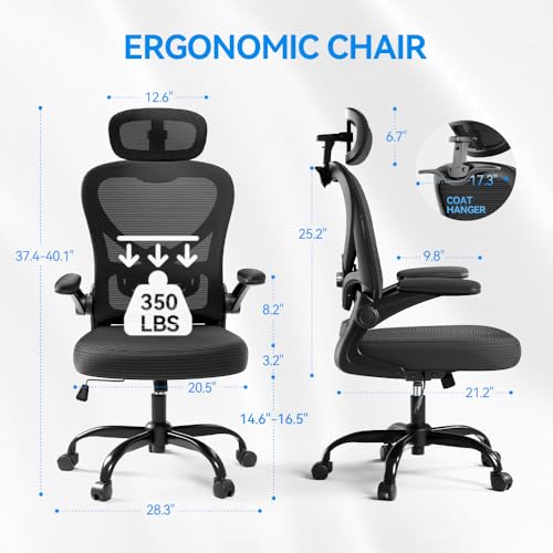 Freepub Ergonomic Office Chair with Headrest 3D, Mesh Office Desk Chair with Adjustable Lumbar Support, Computer Chair wit...