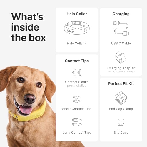 Halo Collar 4, GPS Wireless Dog Fence & Dog Training Collar with GPS Tracker, Subscription Required, Waterproof, Sunburst,...