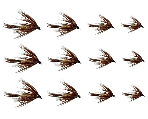 Feeder Creek Fly Fishing Flies 12pc March Brown Spider Nymph Flies | Flies for Fly Fishing | 4 Size Fly Fishing Assortment...