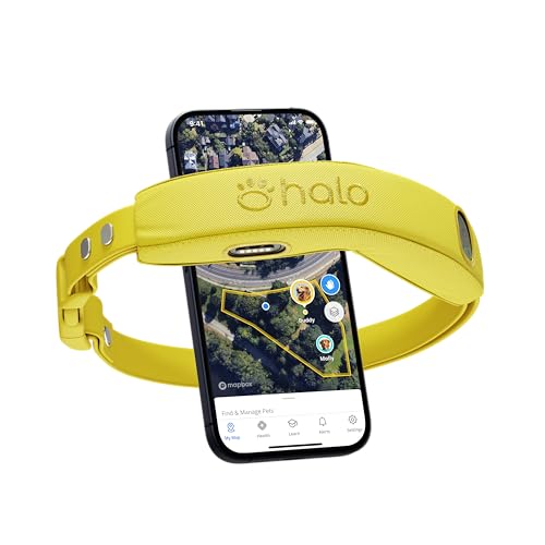 Halo Collar 4, GPS Wireless Dog Fence & Dog Training Collar with GPS Tracker, Subscription Required, Waterproof, Sunburst,...