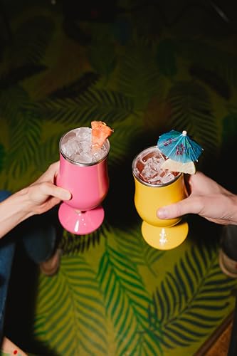 ORCA Poco 17 oz Insulated Cocktail Glass | Double Walled, Stainless Steel Hurricane Glass, Lidded Tumbler for Cocktails, W...
