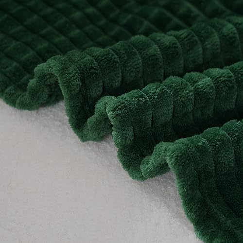 Puncuntex Green Throw Blanket 50"×60" Decorations Fleece Super Soft Plush Fuzzy Cozy Blanket with Square 3D Jacquard Grid ...