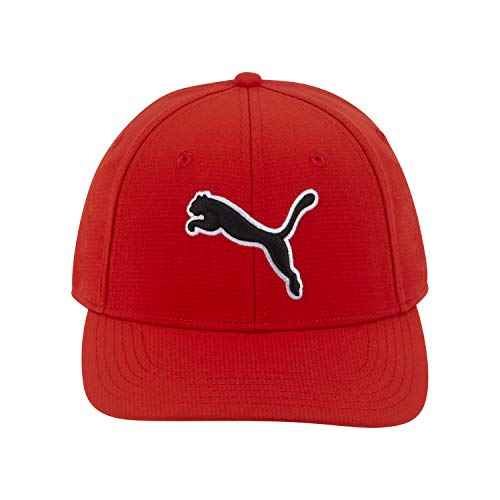 PUMA Unisex-Adult Evercat Dillon Stretch Fit Cap