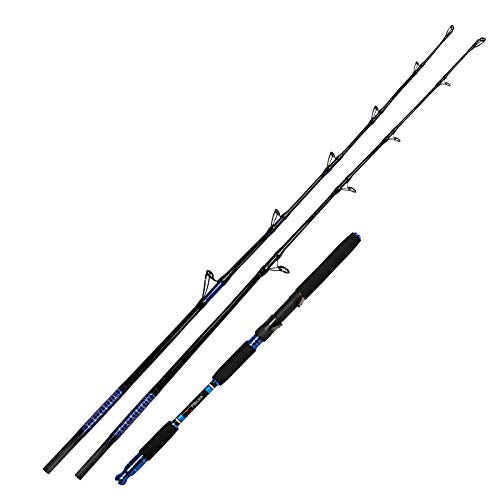 Fiblink Spinning & Casting Fishing Rod Carbon Fiber Jigging Rod 2 Piece Twin-Tip Fishing Jig Rod Portable Travel Fishing P...