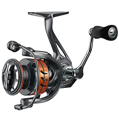 Cadence Fishing Combos with 10+1 Ideal Spinning Reel Bundle + 2PCS 6.6ft Lux Moderate Light Spinning Rod Perfect for Profe...