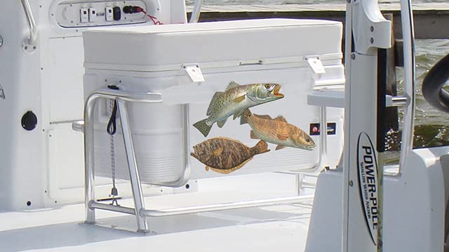 Saltwater Fish Decals Inshore Slam Flounder Fluke Fishing Stickers Redfish Red Drum Seatrout UV Protected Sea Trout Fish S...