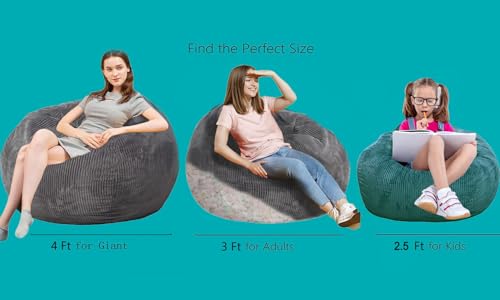 Bean Bag Chair 3Ft Luxurious Faux Rabbit Fur Memory Foam Bean Bag Chairs for Adults/Teens with Filling,Ultra Soft Faux Fur...