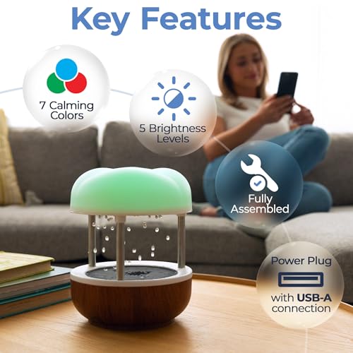 Mindsight ‘Calming Cloud’ Tabletop Water Fountain | Quiet Pump | Splash Resistant | Zen & Nature Décor | Promotes Focus, S...