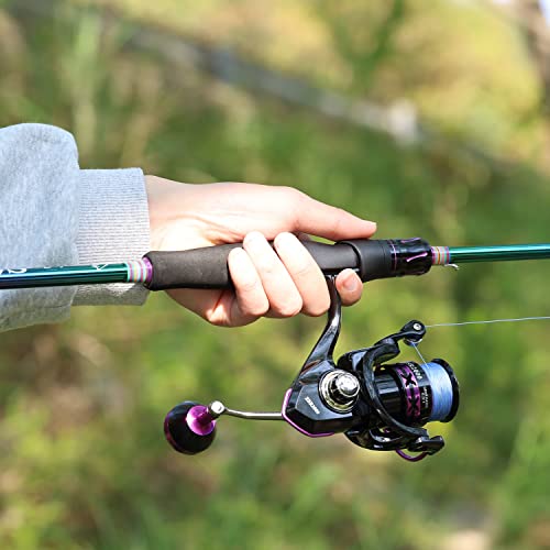 Sougayilang Fishing Rod and Reel Combo, Medium Fishing Pole with Baitcasting Reel Combo, 2-Piece Fishing Combo