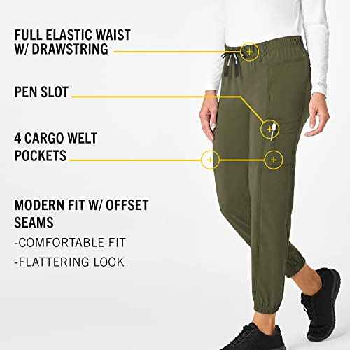 Carhartt Scrubs C52610 Women's Force¢ç Modern Fit Jogger Pant